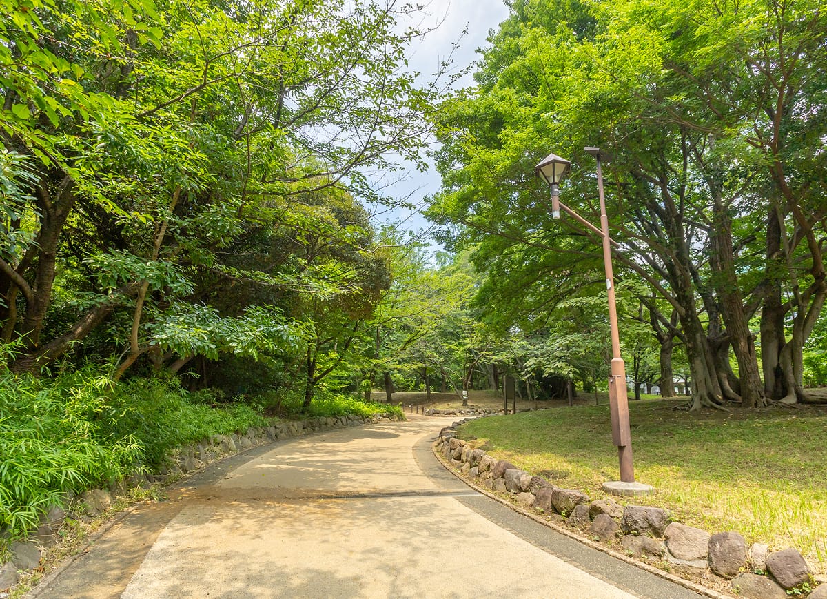 中野区立江古田の森公園