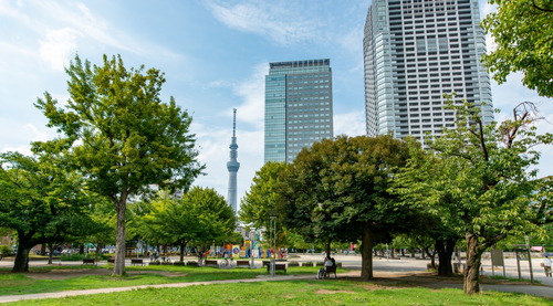 錦糸公園