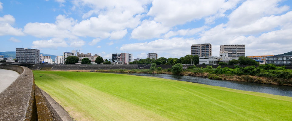 白川左岸緑地