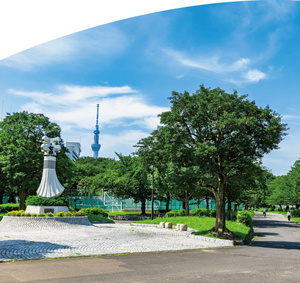 都立東白鬚公園
