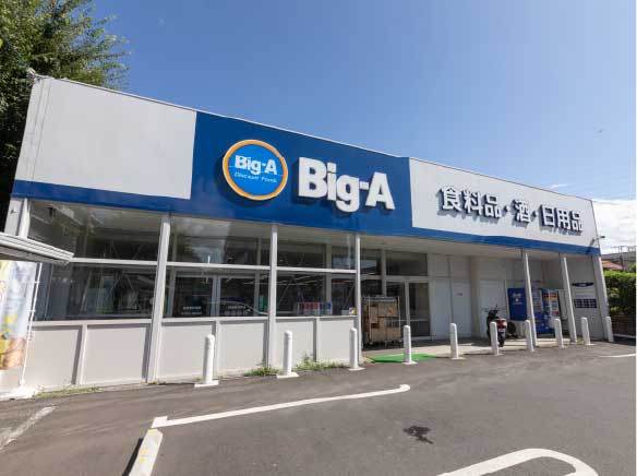 ビッグ・エー相模原共和店