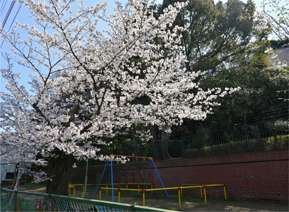 岩瀬住吉公園