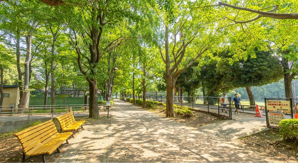 城北中央公園