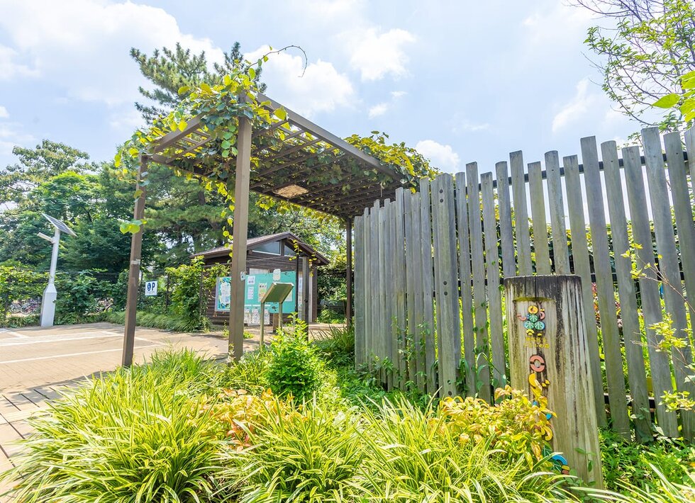 練馬区立こどもの森緑地