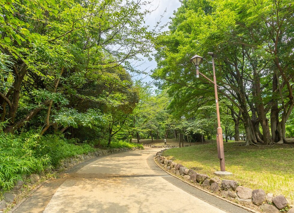 中野区立江古田の森公園