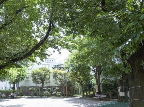 囲桃園公園
