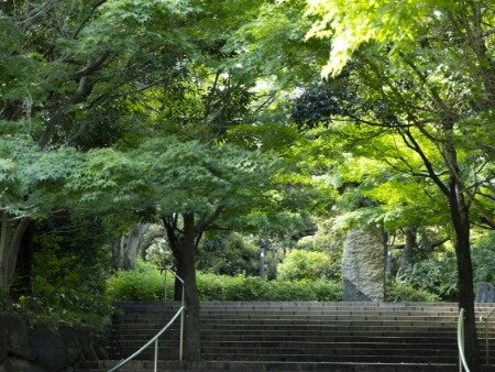 紅葉山公園