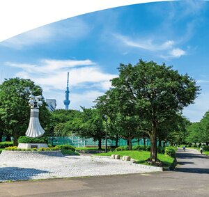 都立東白鬚公園