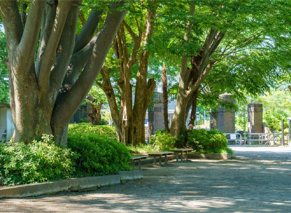 松戸中央公園