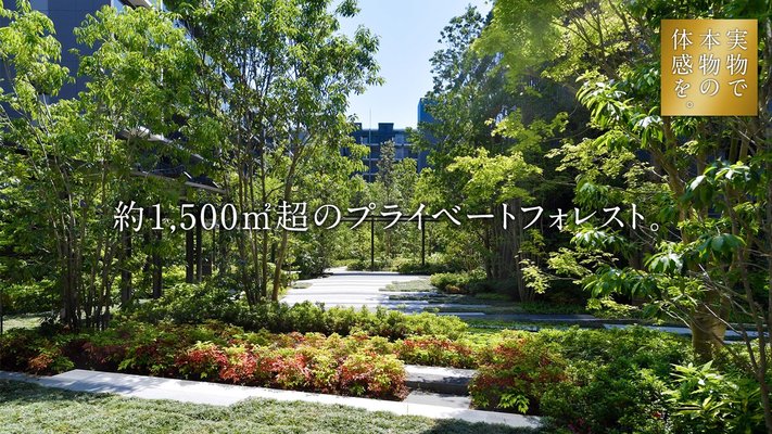 プライベートフォレスト竣工写真(2022年4・6・10月撮影)