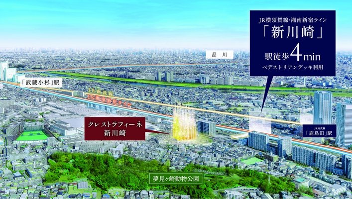 航空写真