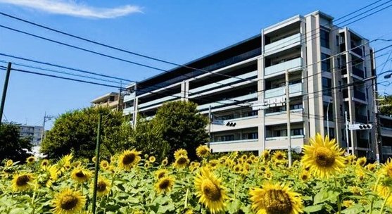 リーフィアレジデンス練馬中村橋