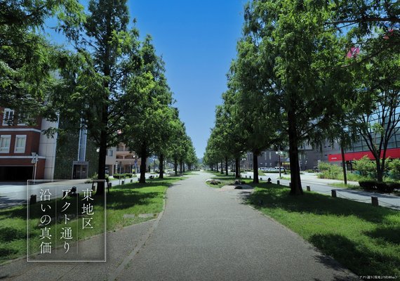 アクト通り(現地より約80m)