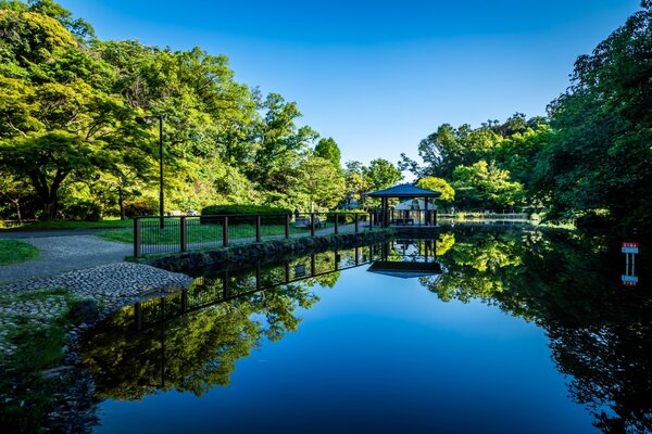 久良岐公園