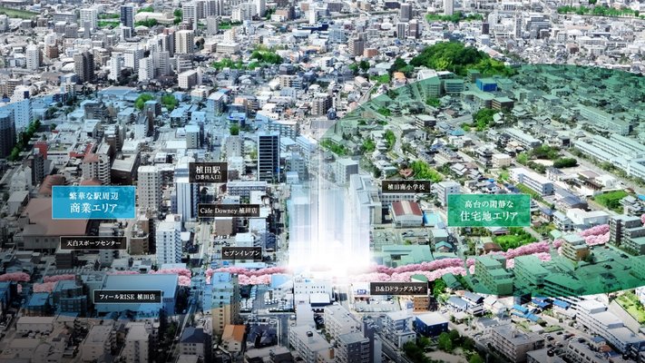 航空写真