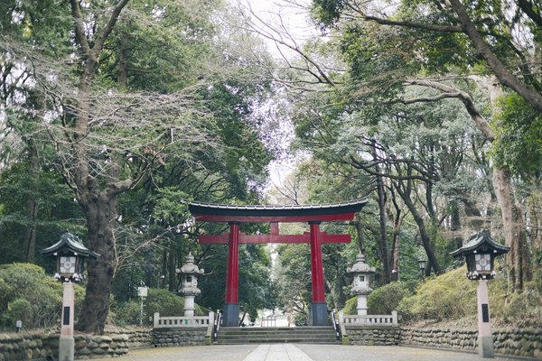 大宮八幡宮（徒歩2分/約140m）