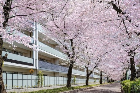 ヴィークコート蕨南町桜並木