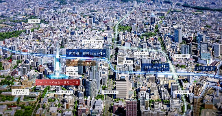 航空写真(2024年5月撮影)