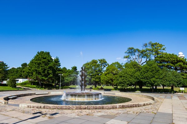 榴岡公園(徒歩8分)