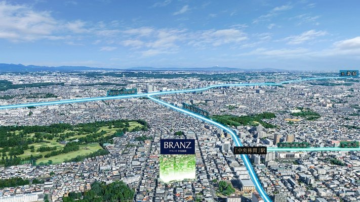 航空写真