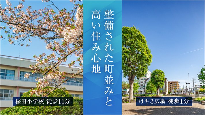 桜田小学校/けやき広場