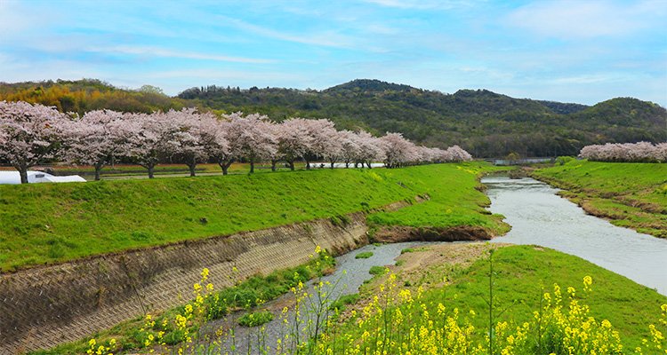 武庫川