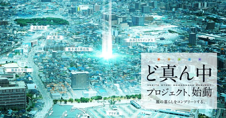 航空写真（2024年8月撮影）※１