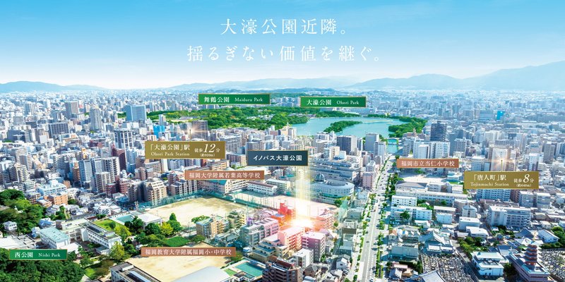航空写真