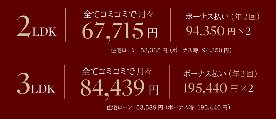 支払い例（※）
