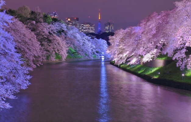 千鳥ヶ淵　徒歩8分