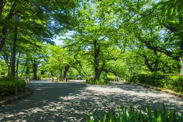 千鳥ヶ淵緑道　徒歩8分