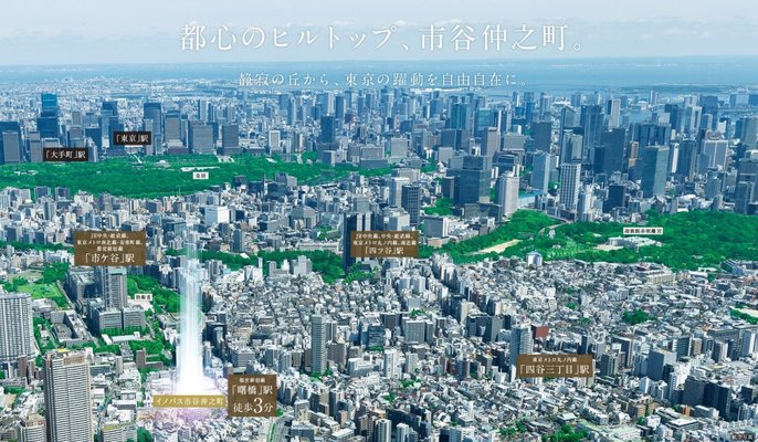 航空写真