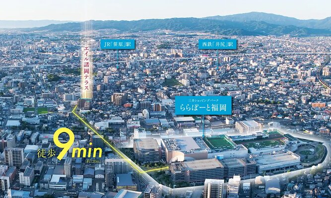 航空写真