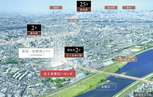 航空写真(2025年6月撮影)