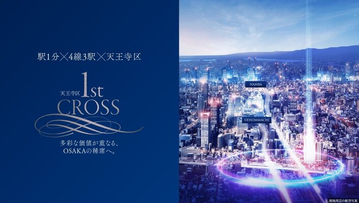 現地周辺の航空写真