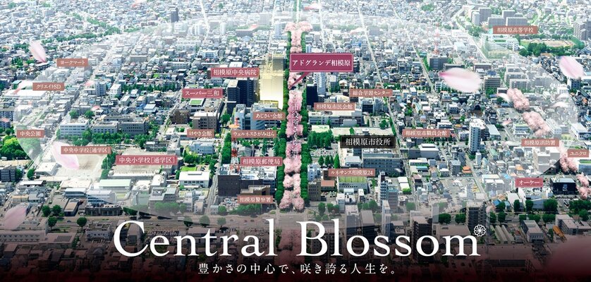 現地周辺航空写真