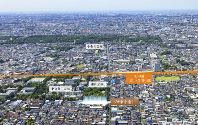 航空写真