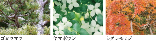 サンメゾン豊川稲荷サウス