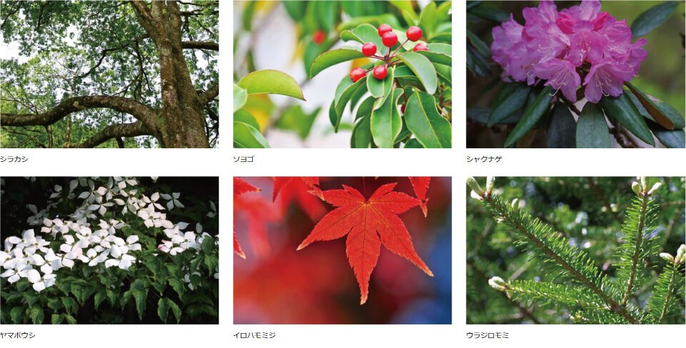 シティハウス堤通雨宮町