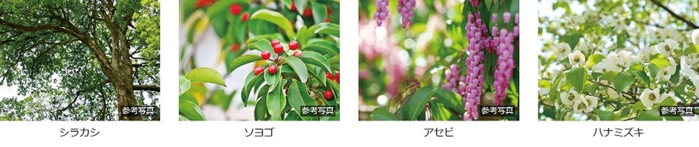 シティテラス高井田