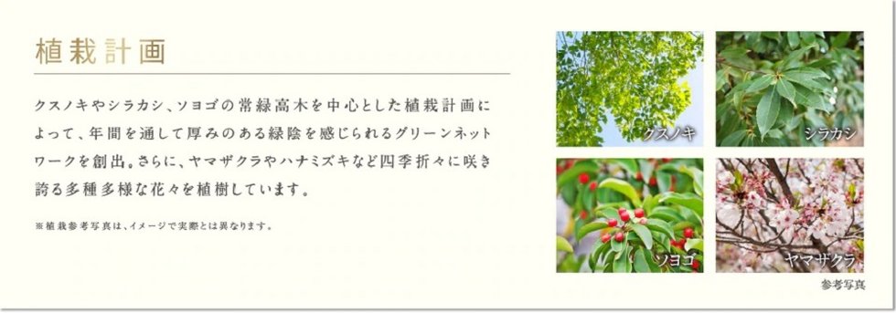 ソライエテラス
