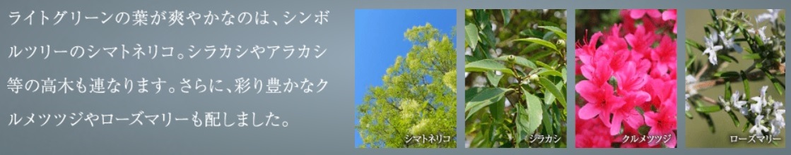 シティハウス横浜