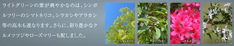 シティハウス横浜