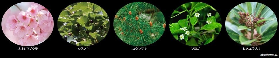 シティタワー千住大橋