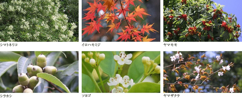 シティタワー綾瀬