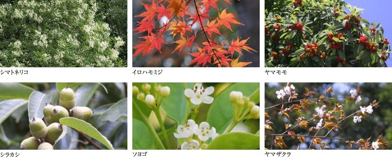 シティタワー綾瀬