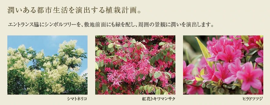 シティハウス西田辺