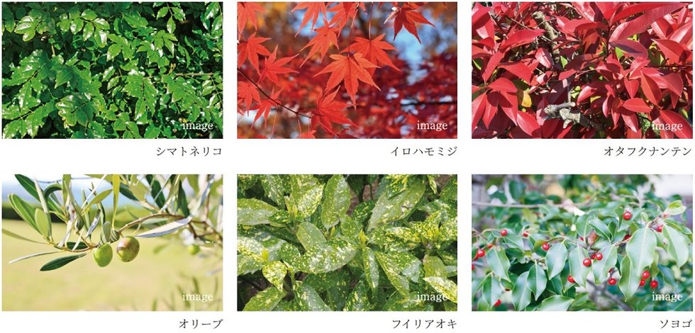 サンクレイドル鴻巣