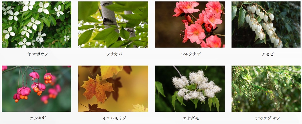 クリオ札幌グランクラス