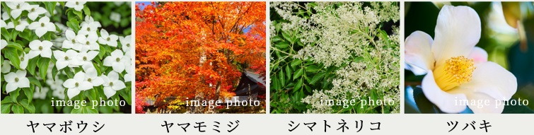 ポレスター唐津ザ・レジデンス